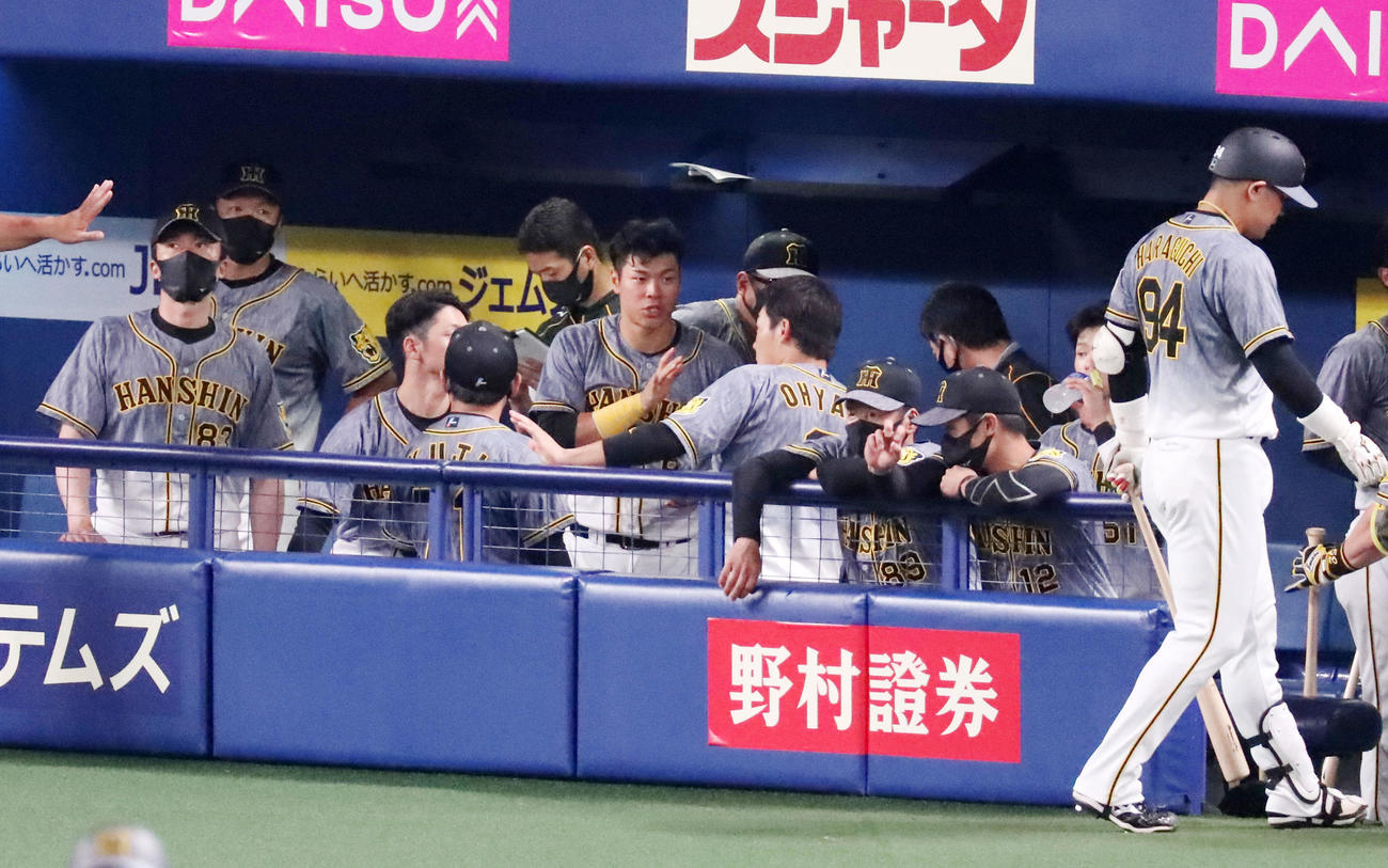 中日対阪神　9回表の攻撃を終えベンチで手を叩いて雰囲気を盛り上げる佐藤輝（撮影・加藤哉）