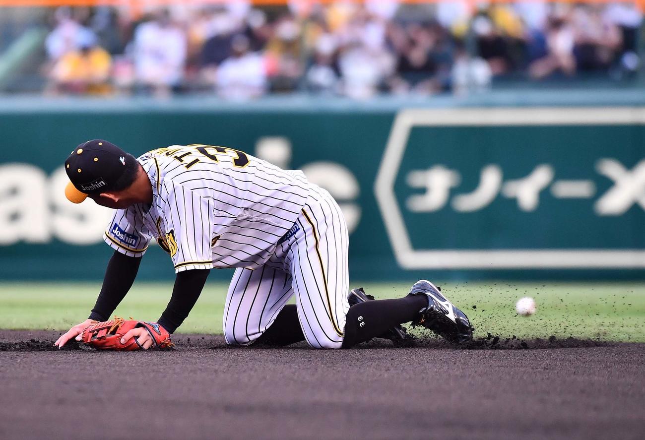 阪神対DeNA 1回表DeNA無死、桑原将志の打球を後逸する糸原（撮影・上田博志）
