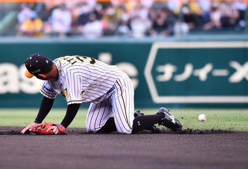 阪神対DeNA 1回表DeNA無死、桑原将志の打球を後逸する糸原（撮影・上田博志）
