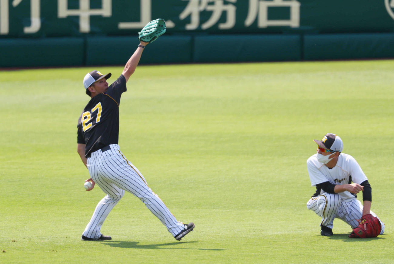阪神対DeNA　キャッチボールする伊藤将（撮影・宮崎幸一）