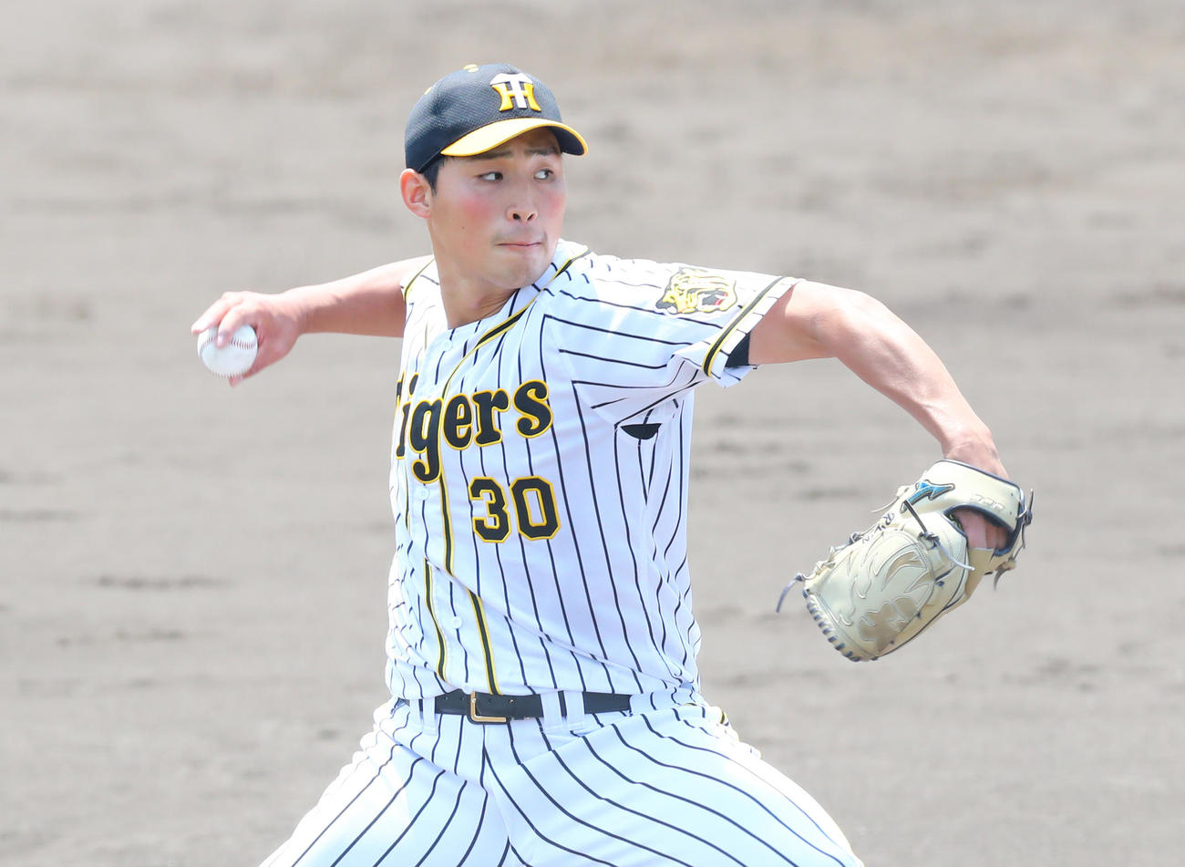 先発登板の阪神・佐藤蓮は4回1／3を4失点の力投を見せる（代表撮影）