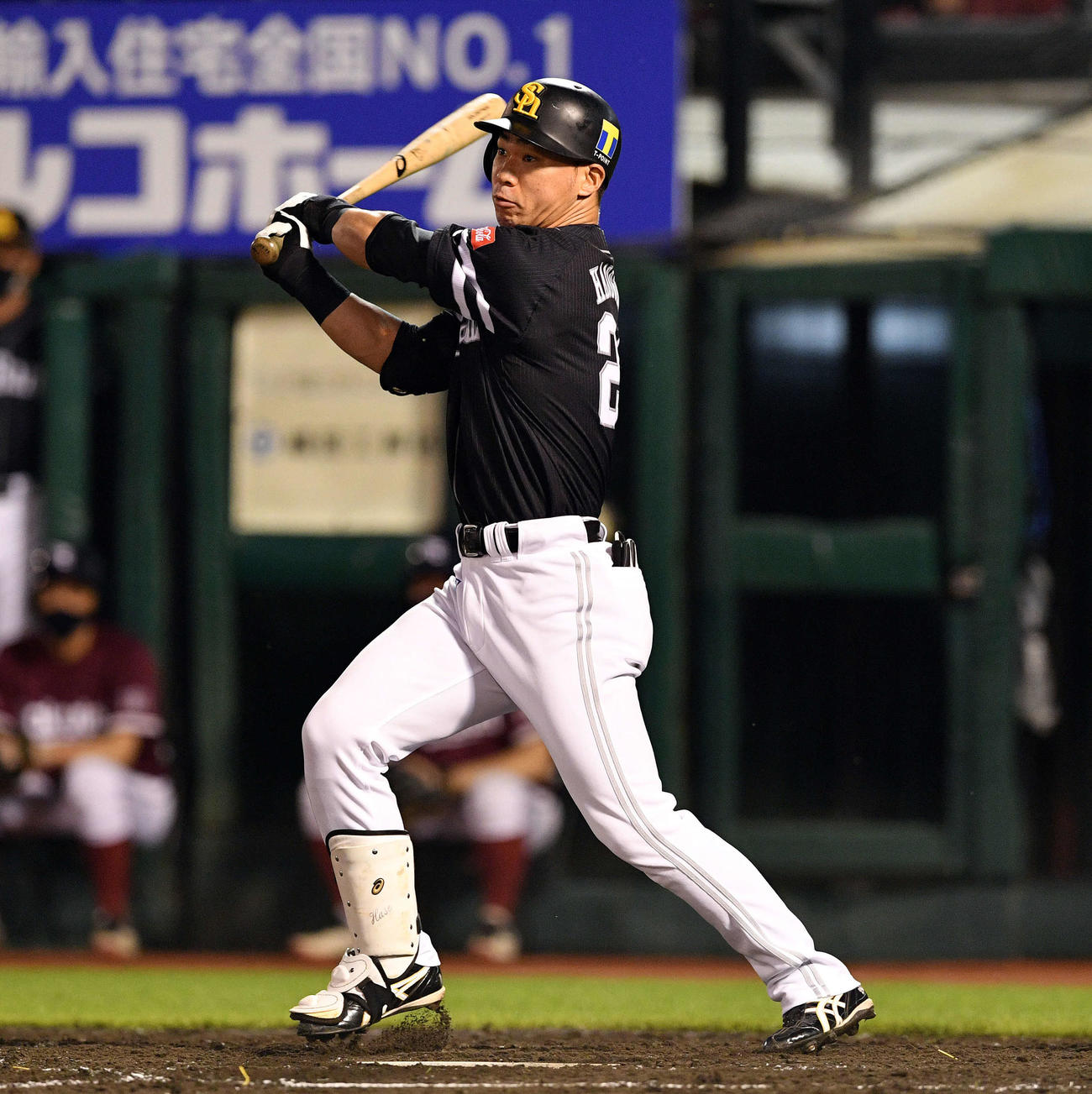 楽天対ソフトバンク　5回表ソフトバンク1死、長谷川は左越えソロ本塁打を放つ（撮影・滝沢徹郎）