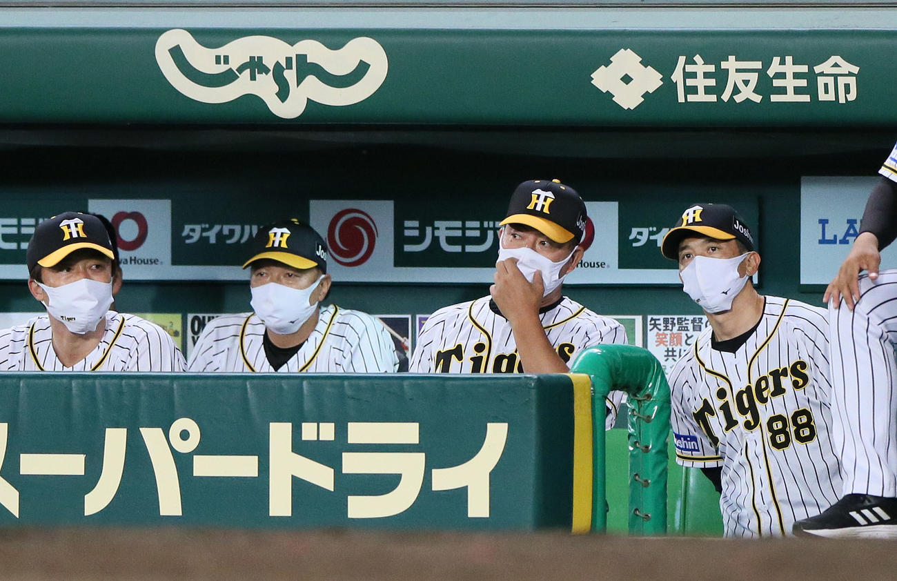 阪神対DeNA 8回裏、矢野監督（右）はベンチから戦況を見る（撮影・上山淳一）