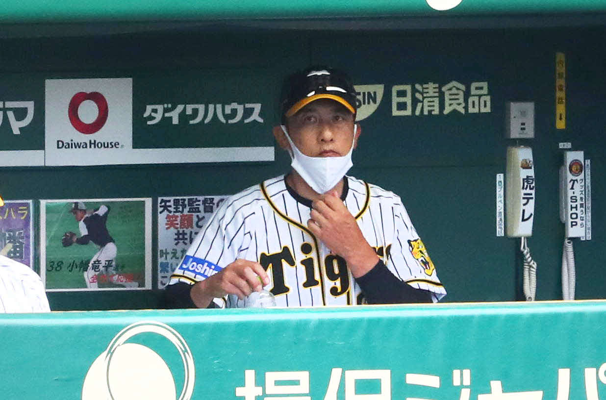 阪神対DeNA 6回表DeNA無死一塁、ベンチで厳しい表情の矢野監督（撮影・宮崎幸一）