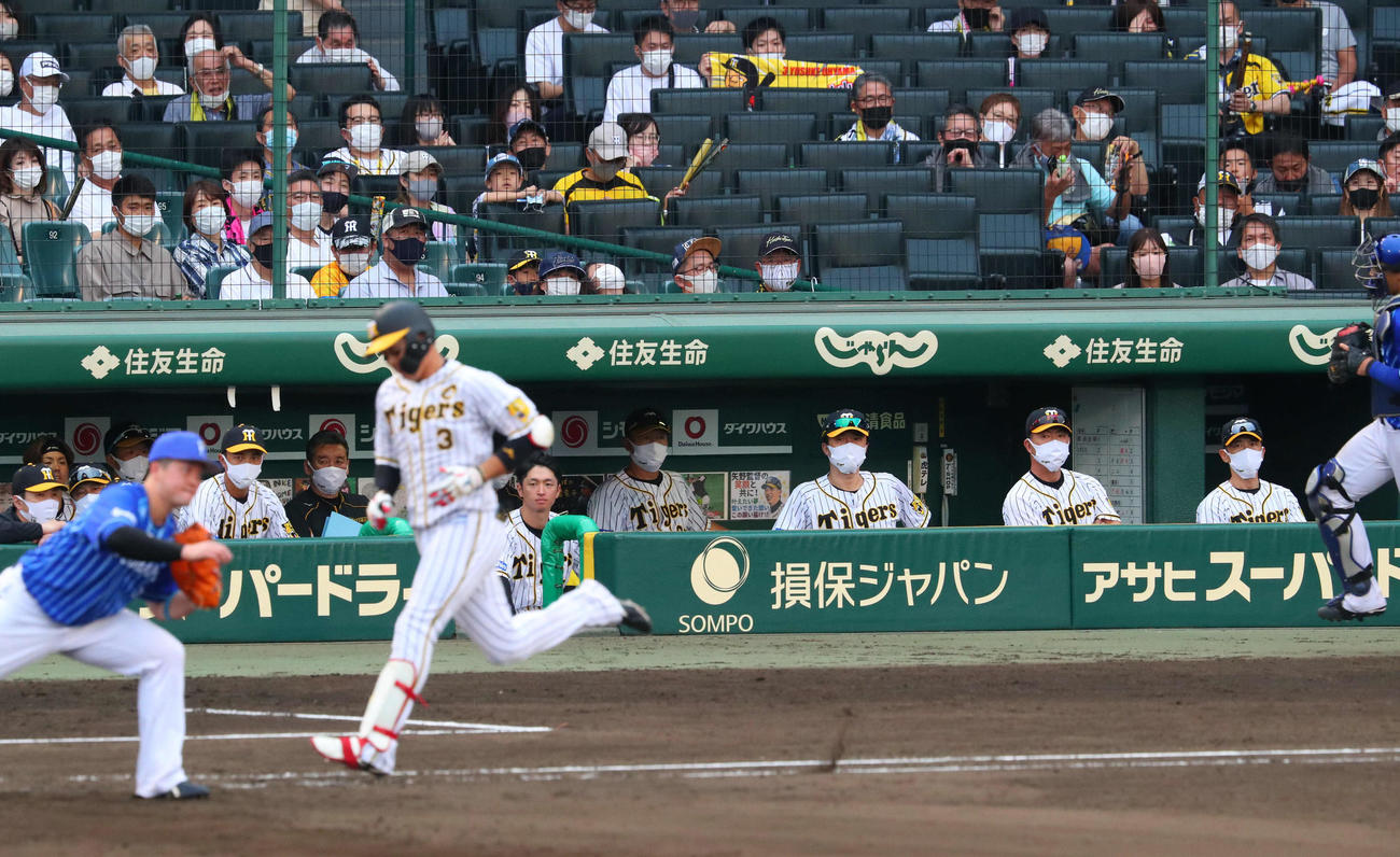 阪神対DeNA 9回裏阪神2死、矢野監督（右端）は最後の打者大山の遊ゴロを見つめる（撮影・宮崎幸一）