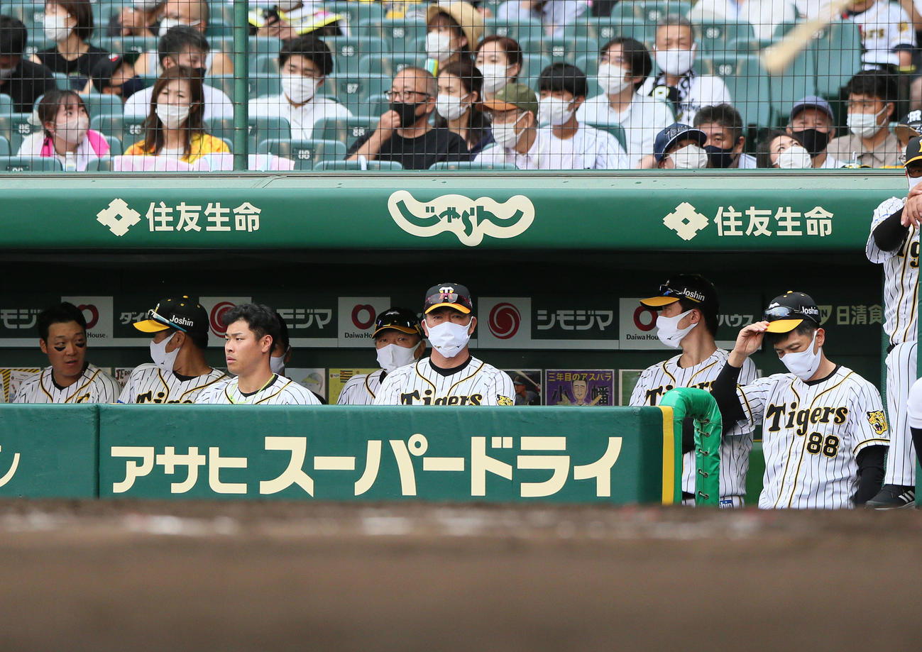 阪神対DeNA 7回、ベンチで渋い表情の矢野監督（右）（撮影・上山淳一）