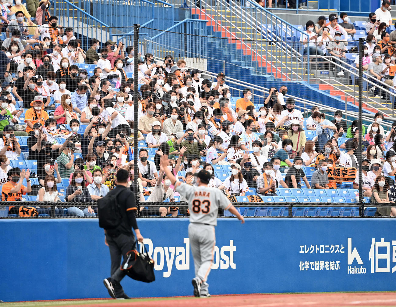 ヤクルト対巨人　ヤクルトに勝ち越した巨人原辰徳監督に声援を送るファン（撮影・たえ見朱実）