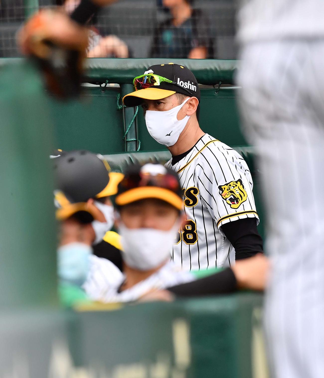 阪神対DeNA　選手交代を告げベンチに引き揚げる矢野監督（撮影・上田博志）