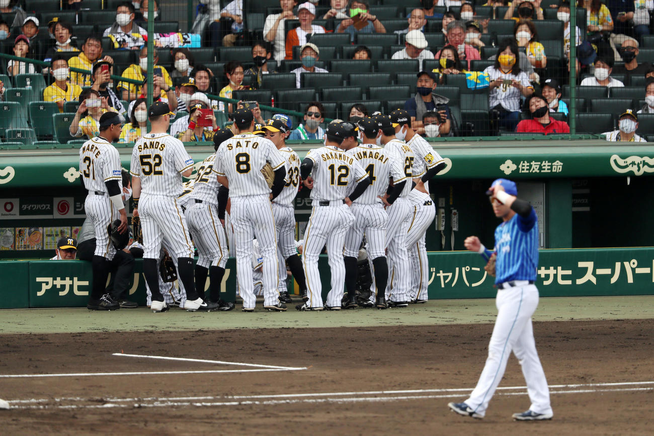 阪神対DeNA 5回裏攻撃前にベンチで円陣を組んだ阪神ナイン（撮影・加藤哉）