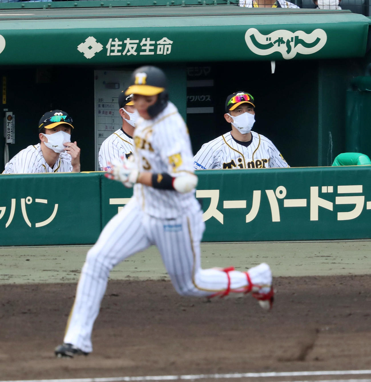 阪神対DeNA 9回裏阪神2死一、二塁、矢野監督は大山の中飛を見つめる（撮影・加藤哉）