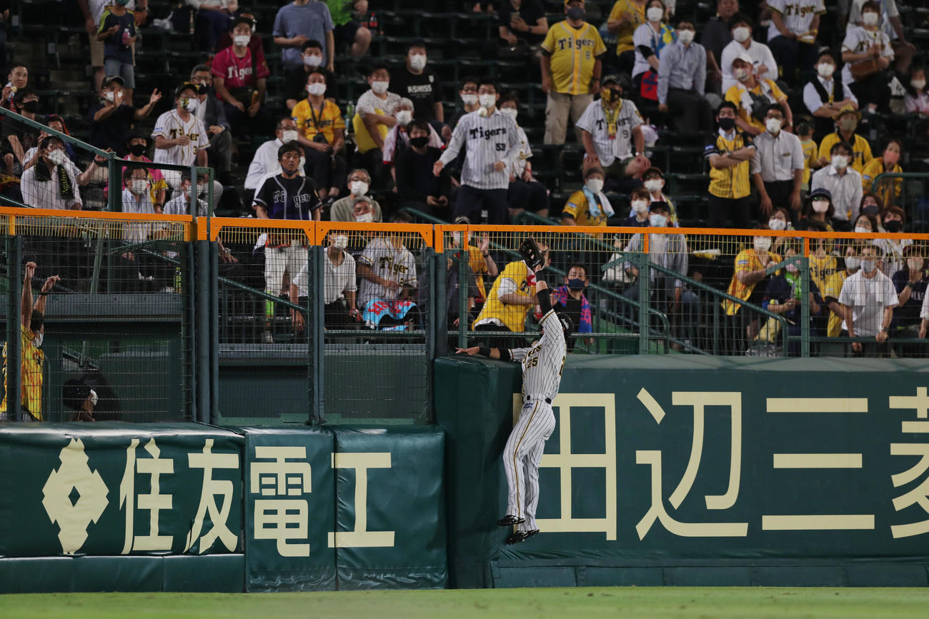 阪神対ヤクルト　8回表ヤクルト2死、山田の左越え本塁打の打球（撮影・前田充）