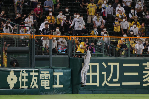 阪神対ヤクルト　8回表ヤクルト2死、山田の左越え本塁打の打球（撮影・前田充）