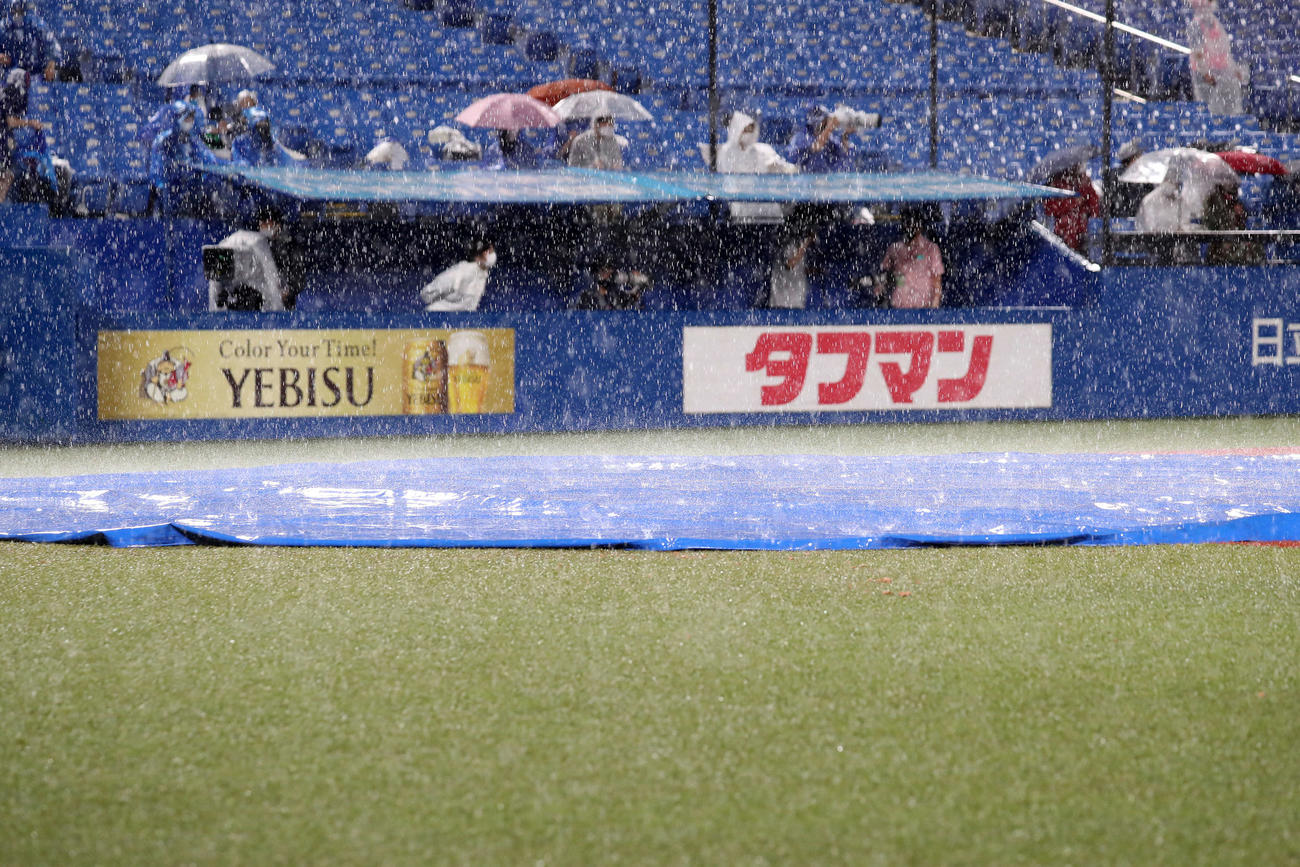 5回裏途中で雨のため中断（撮影・鈴木正人）