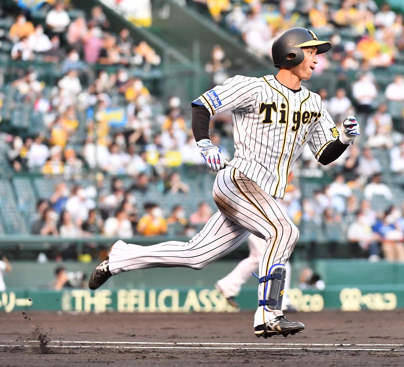 阪神対ヤクルト　2回裏阪神2死一、二塁、右前に同点適時打を放ち一塁に向かう近本（撮影・上田博志）