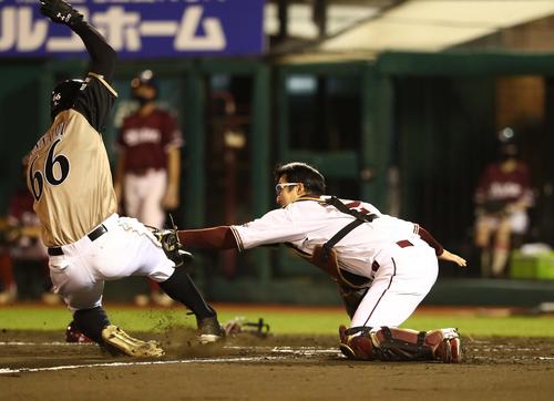 楽天対日本ハム　7回表日本ハム1死三塁、石井の中飛で辰己がタッチアップした万波を本塁で補殺する。捕手太田（撮影・黒川智章）