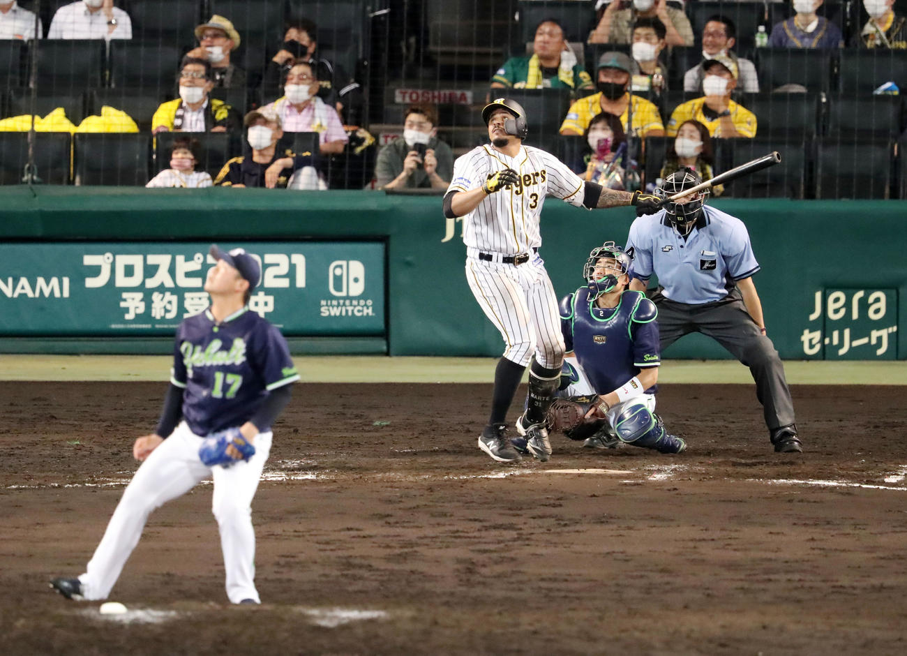 阪神対ヤクルト　8回裏阪神1死、マルテは右越え本塁打を放つ。投手は清水（撮影・加藤哉）