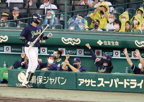 阪神対ヤクルト　4回表ヤクルト無死、村上は右越え本塁打を放ちベンチのナインとエアタッチ（撮影・加藤哉）