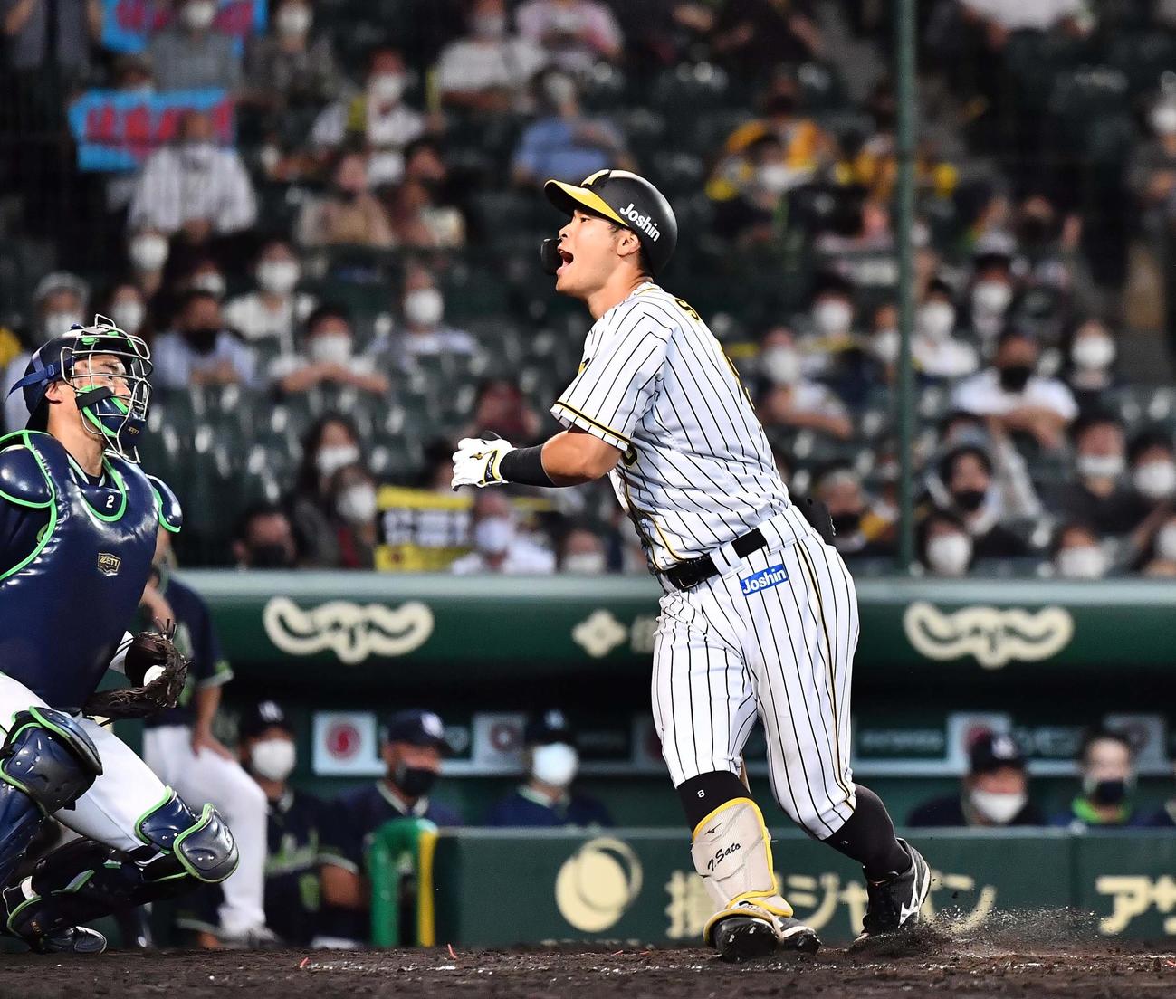 阪神対ヤクルト　8回裏阪神2死、三振に倒れる佐藤輝（撮影・上田博志）