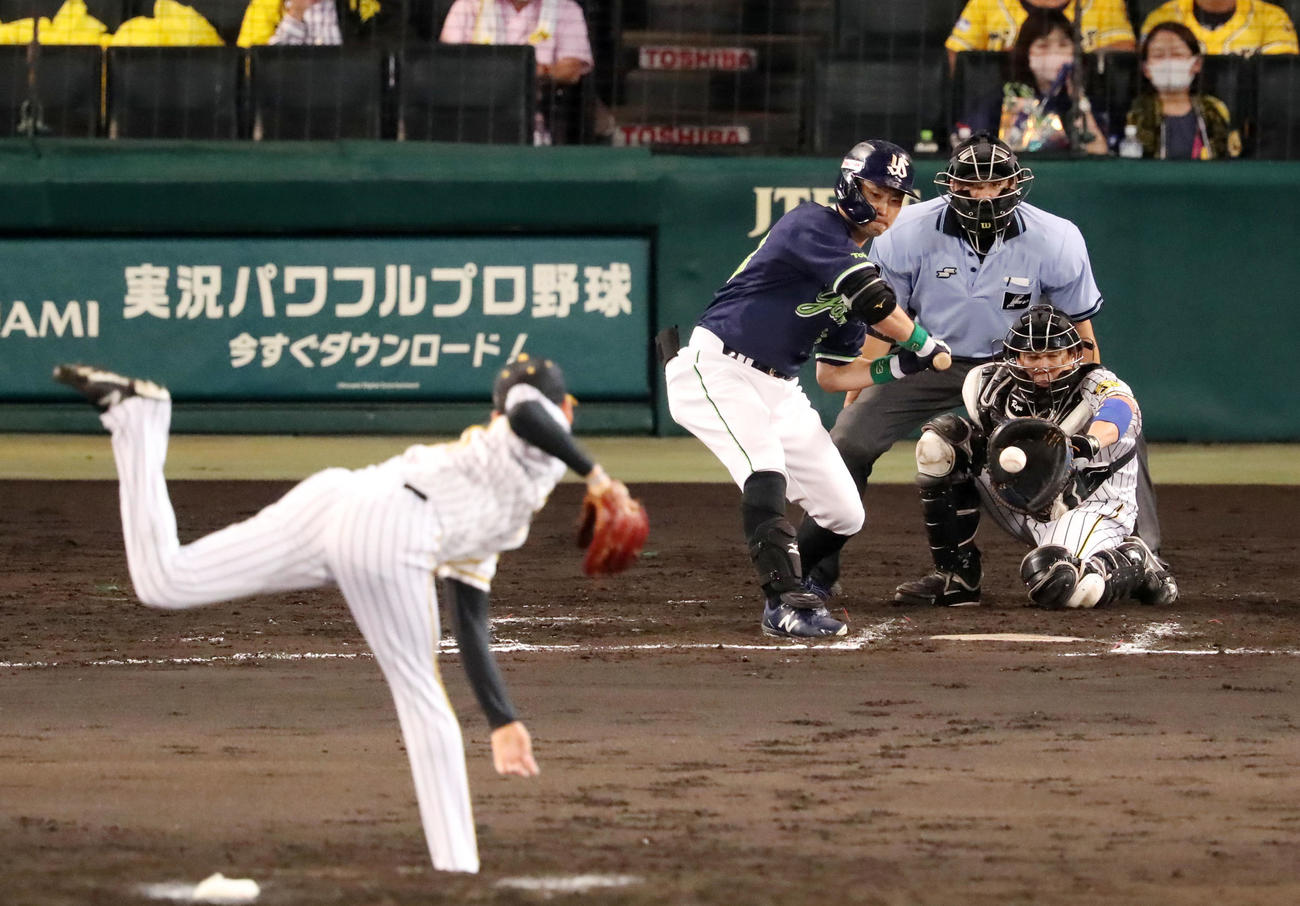 阪神対ヤクルト　7回表ヤクルト1死二塁、及川は青木から三振を奪う（撮影・加藤哉）