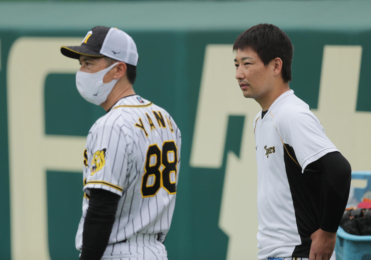 阪神対ヤクルト　試合前練習で阪神矢野監督（左）と言葉を交わす岩崎（撮影・前田充）