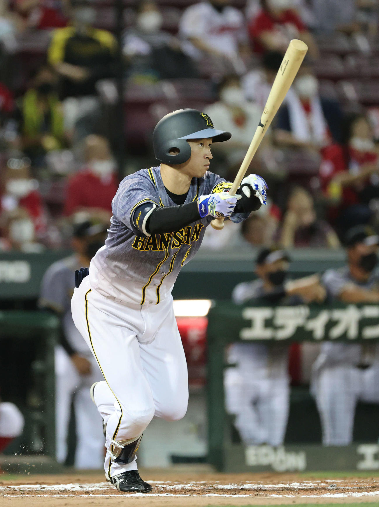 広島対阪神　7回表阪神1死一、三塁、近本は右犠飛（撮影・加藤孝規）