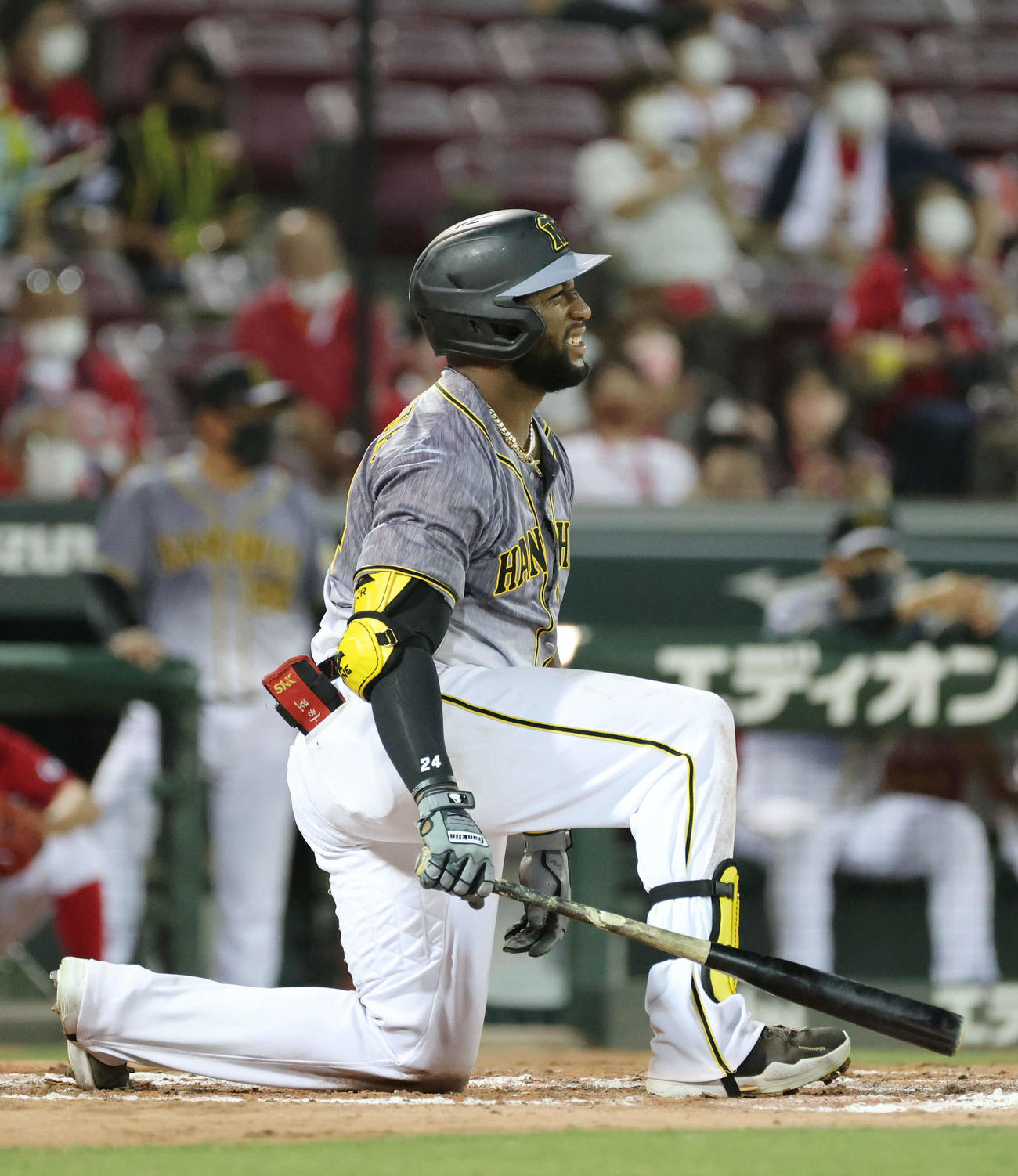 広島対阪神　8回表阪神無死、ロハス・ジュニアは三振（撮影・加藤孝規）