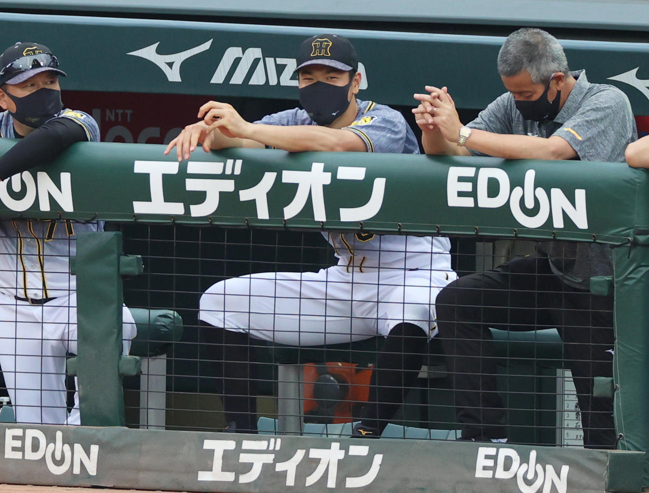 広島対阪神　スタメンを外れ、ベンチで試合を見る佐藤輝（撮影・清水貴仁）