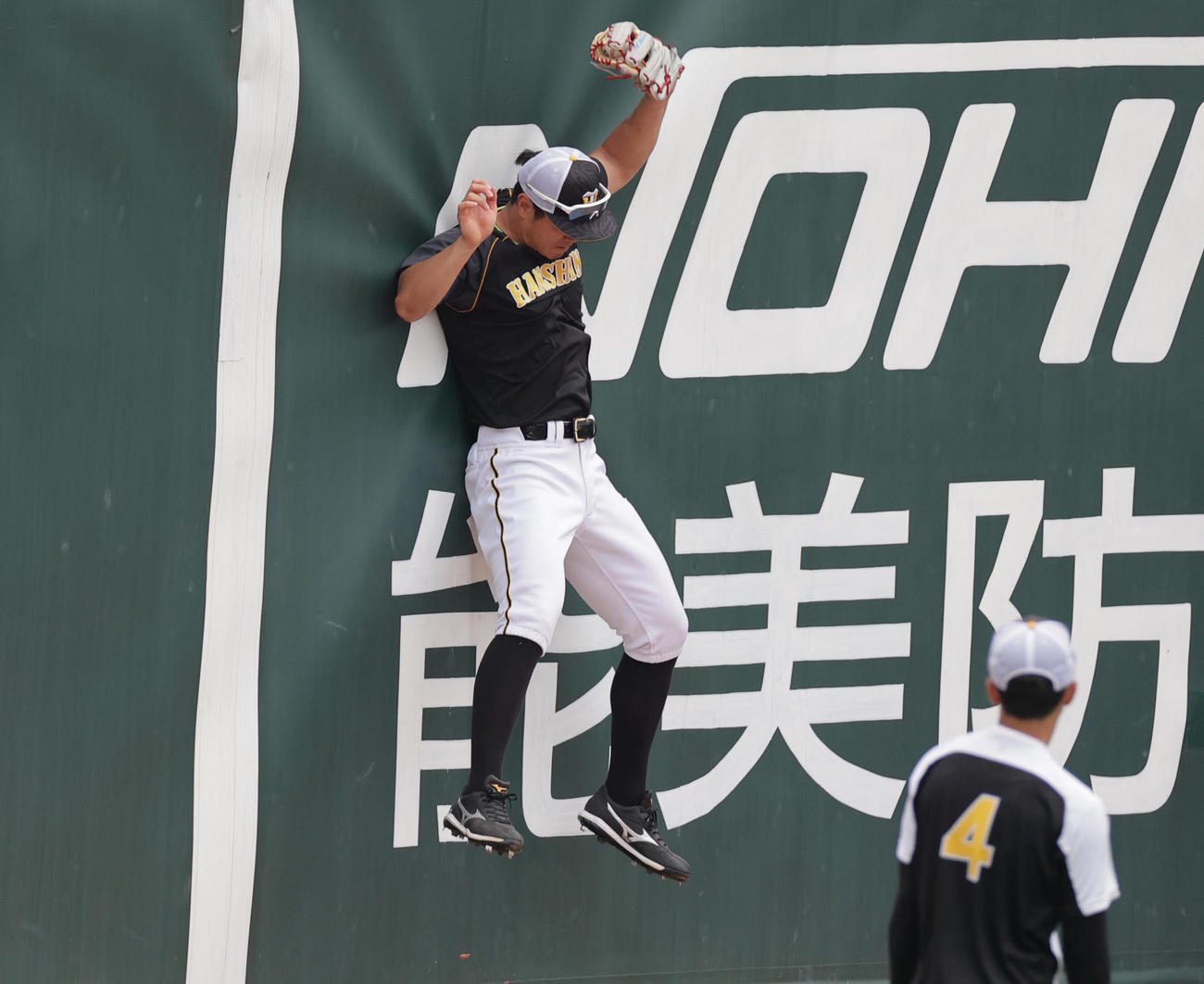 広島対阪神　試合前の守備練習でフェンスにぶつかる佐藤輝（撮影・清水貴仁）