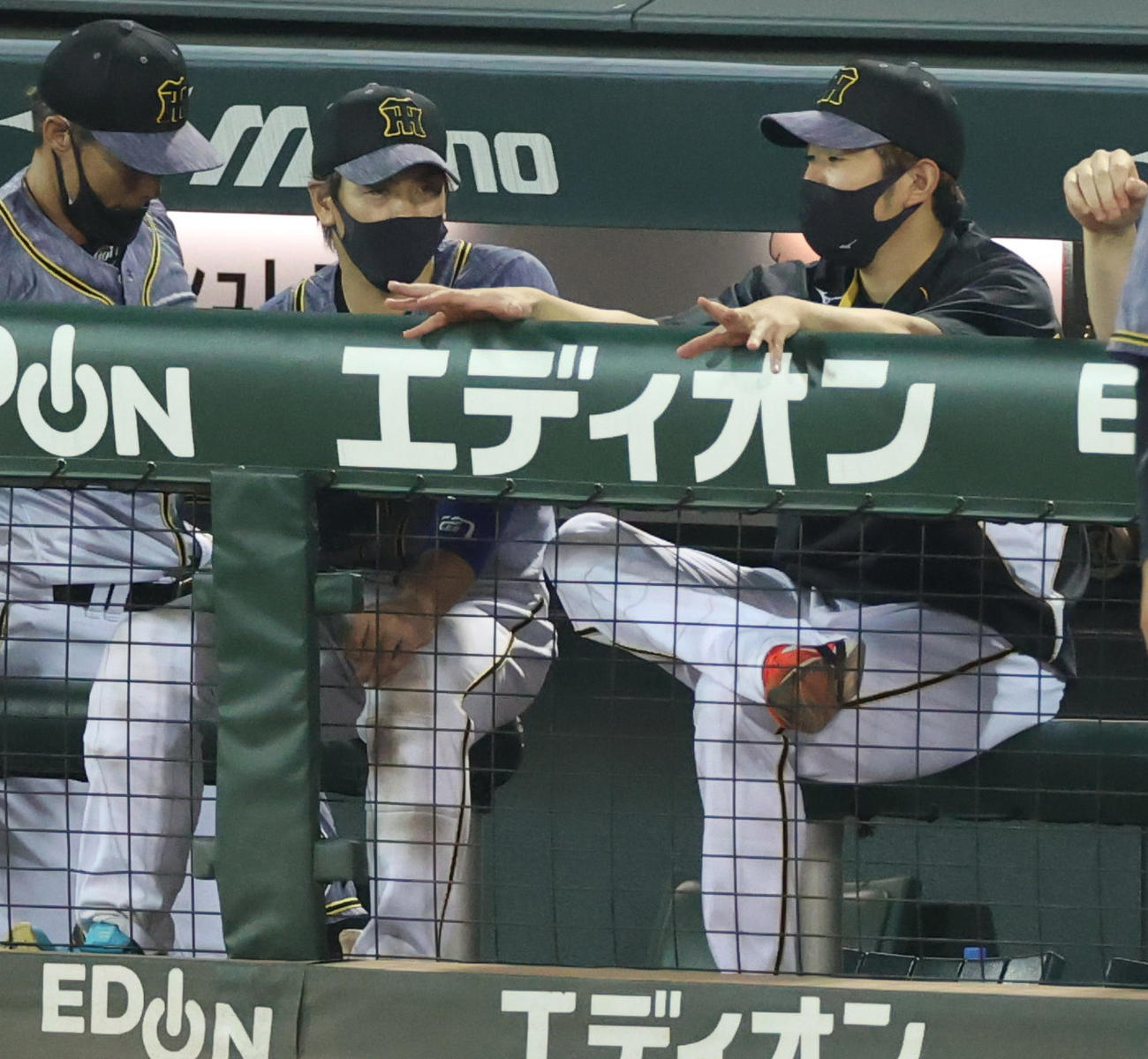 広島対阪神　8回、ベンチで話し合う梅野（左）と西勇（撮影・清水貴仁）