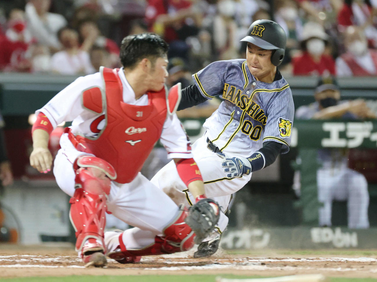 広島対阪神　7回表阪神1死一、三塁、山本は近本の右犠飛で生還する。捕手は坂倉（撮影・加藤孝規）