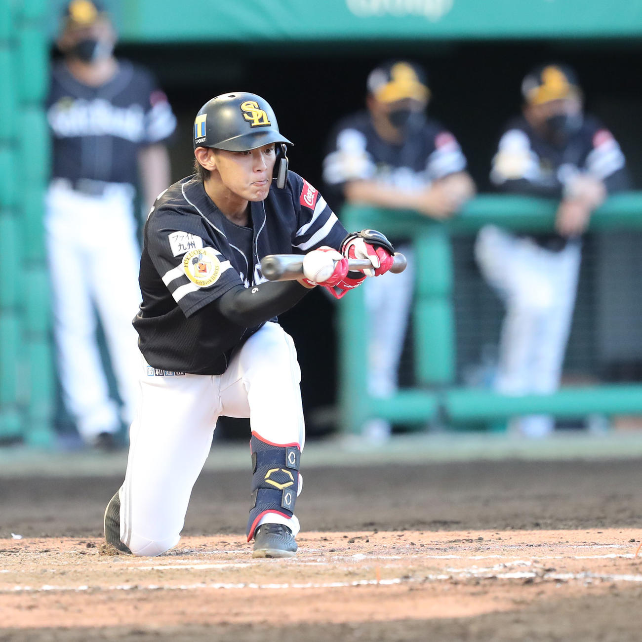 日本ハム対ソフトバンク　4回表ソフトバンク無死一塁、今宮は投前犠打を決める（撮影・梅根麻紀）