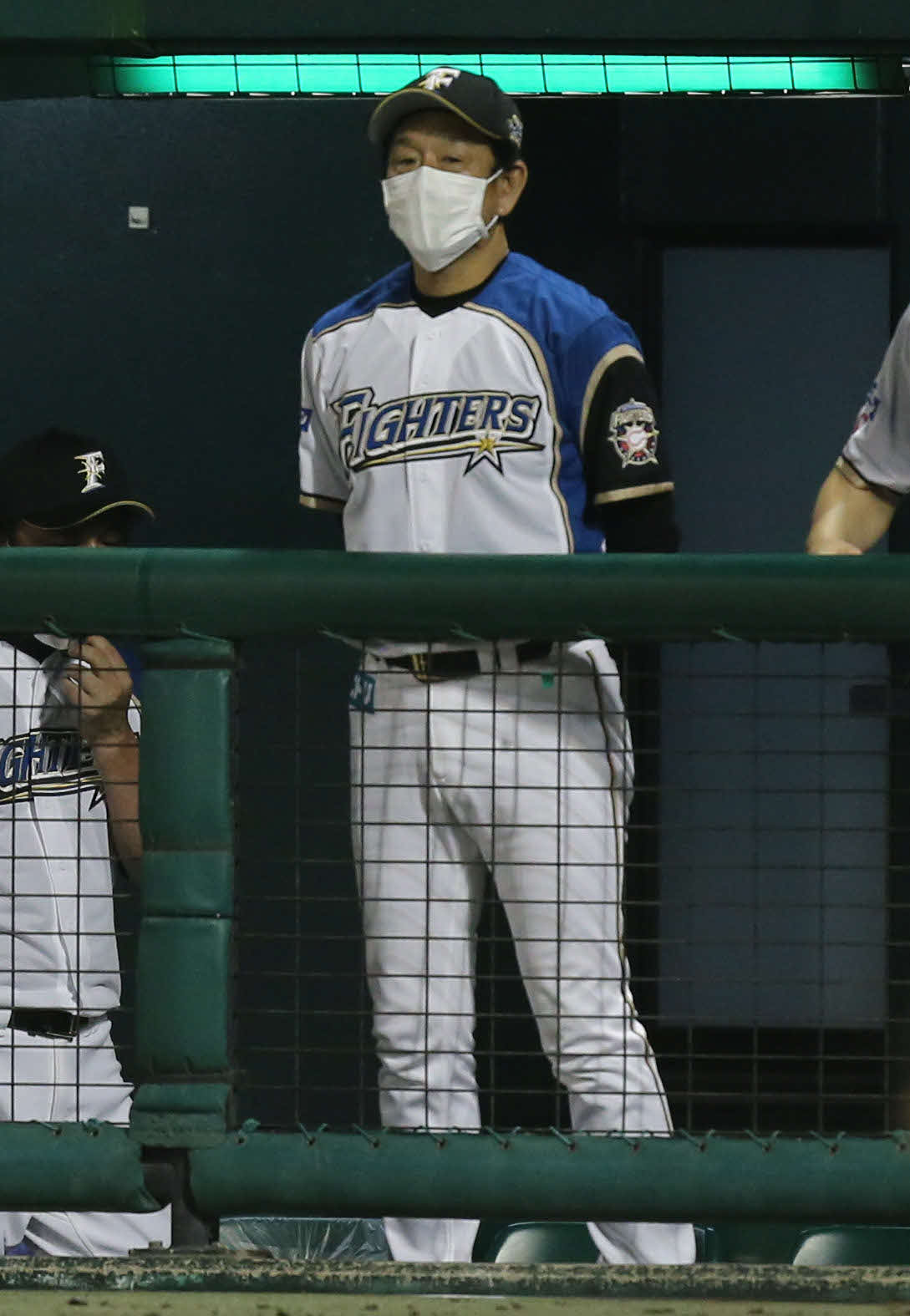 日本ハム対ソフトバンク　6回裏、試合を見つめる栗山監督（撮影・屋方直哉）