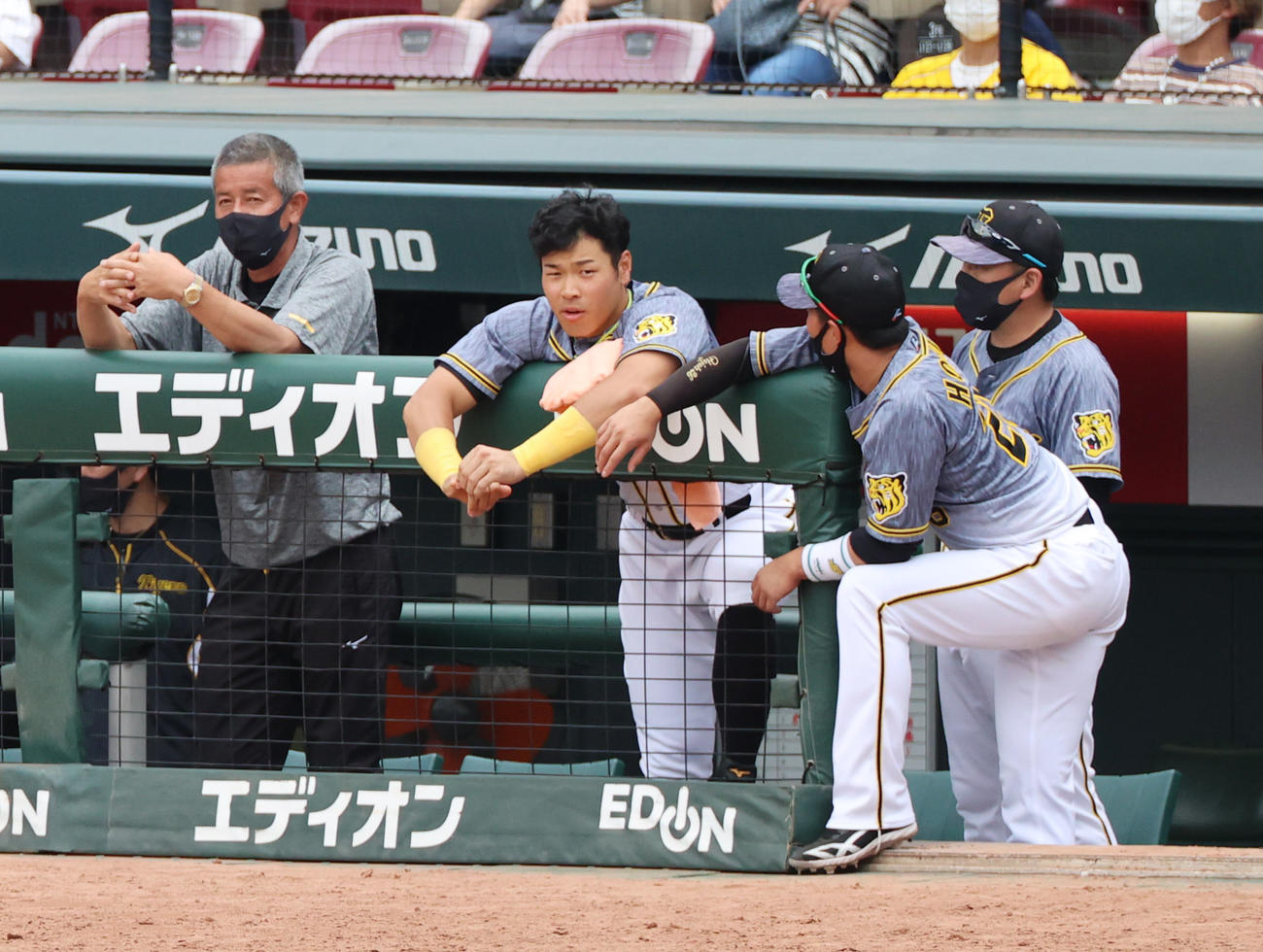 広島対阪神　8回、ベンチで厳しい顔をみせる阪神佐藤輝（撮影・清水貴仁）