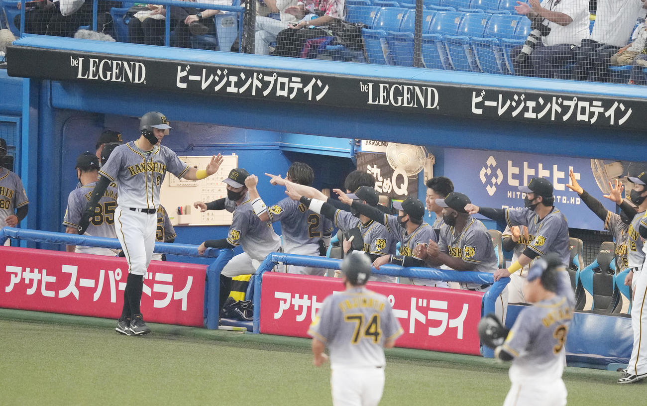 ヤクルト対阪神　4回表阪神2死一、二塁、中野の適時打で生還し、ナインに迎えられる佐藤輝（左から2人目）（撮影・菅敏）