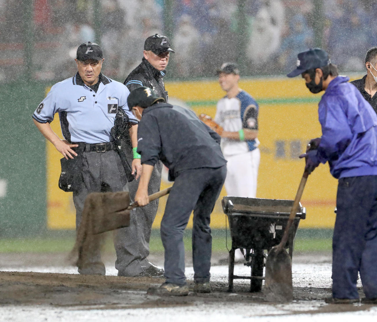 日本ハム対西武　雨のためぬかるんだマウンドを整備するスタッフとそれを見つめる審判団（撮影・佐藤翔太）