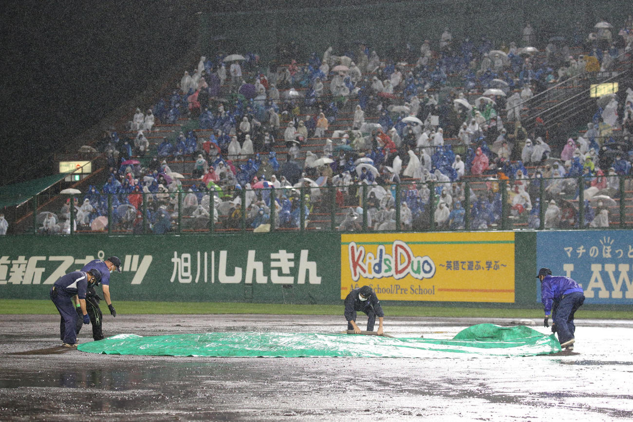 日本ハム対西武　雨のため試合が一時中断しマウンドにシートがかけられる（撮影・佐藤翔太）