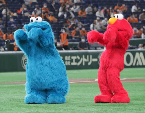 巨人対中日　始球式を行いベンチ向かってにグータッチを披露するユニバーサル・スタジオ・ジャパンのエルモ（右）とクッキーモンスター（撮影・足立雅史）