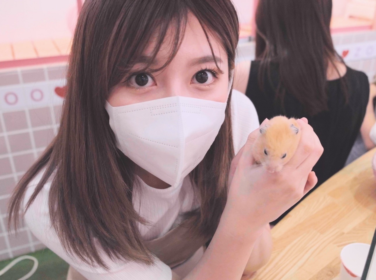 宮崎美穂