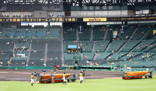 阪神対巨人　開催へ向けグラウンドのシートを巻き取る阪神園芸の係員たち（撮影・加藤哉）