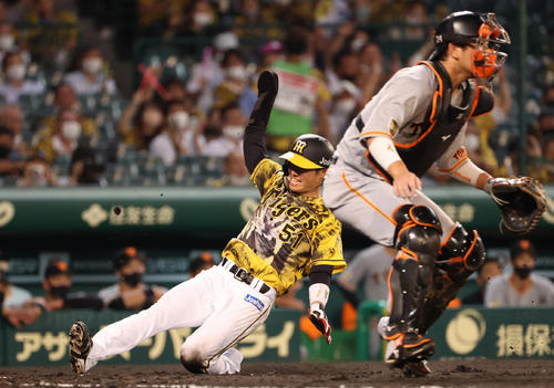 阪神対巨人　5回裏阪神2死二塁、近本の中前適時打で生還する中野（撮影・清水貴仁）