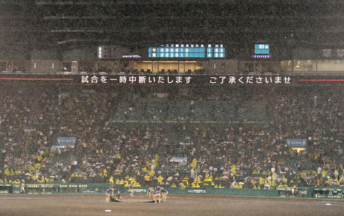 阪神対巨人　7回表巨人無死一塁、打者松原のとき降雨中断（撮影・加藤哉）