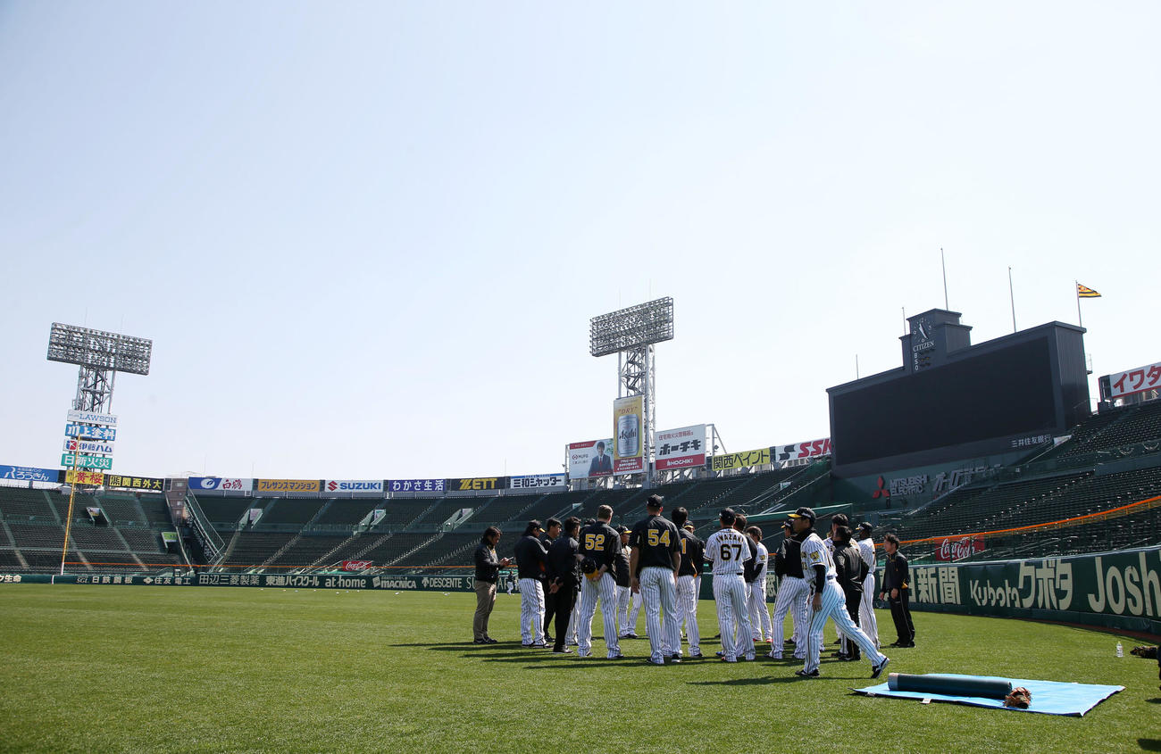 甲子園球場（19年3月5日撮影）