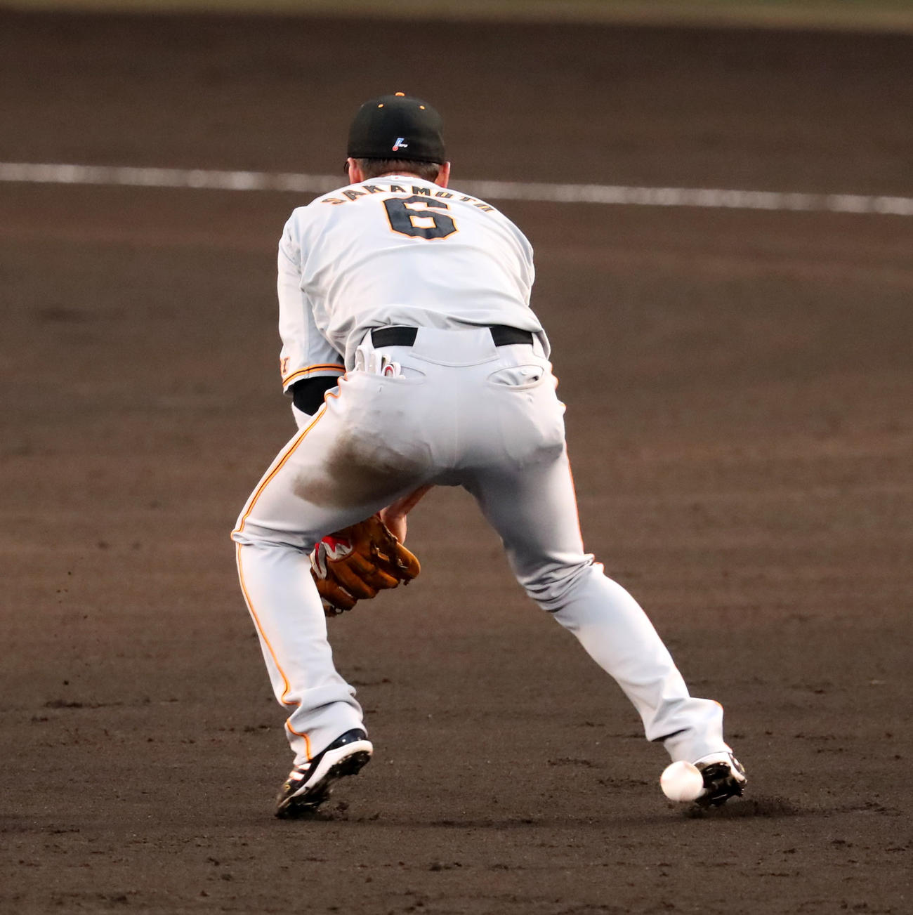 阪神対巨人　3回裏阪神無死一塁、坂本は中野の打球をトンネルする（撮影・加藤哉）