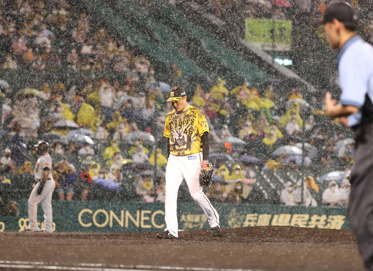 阪神対巨人　7回巨人無死二、三塁、雨脚が強くなり試合中断、ベンチに戻る秋山（撮影・清水貴仁）
