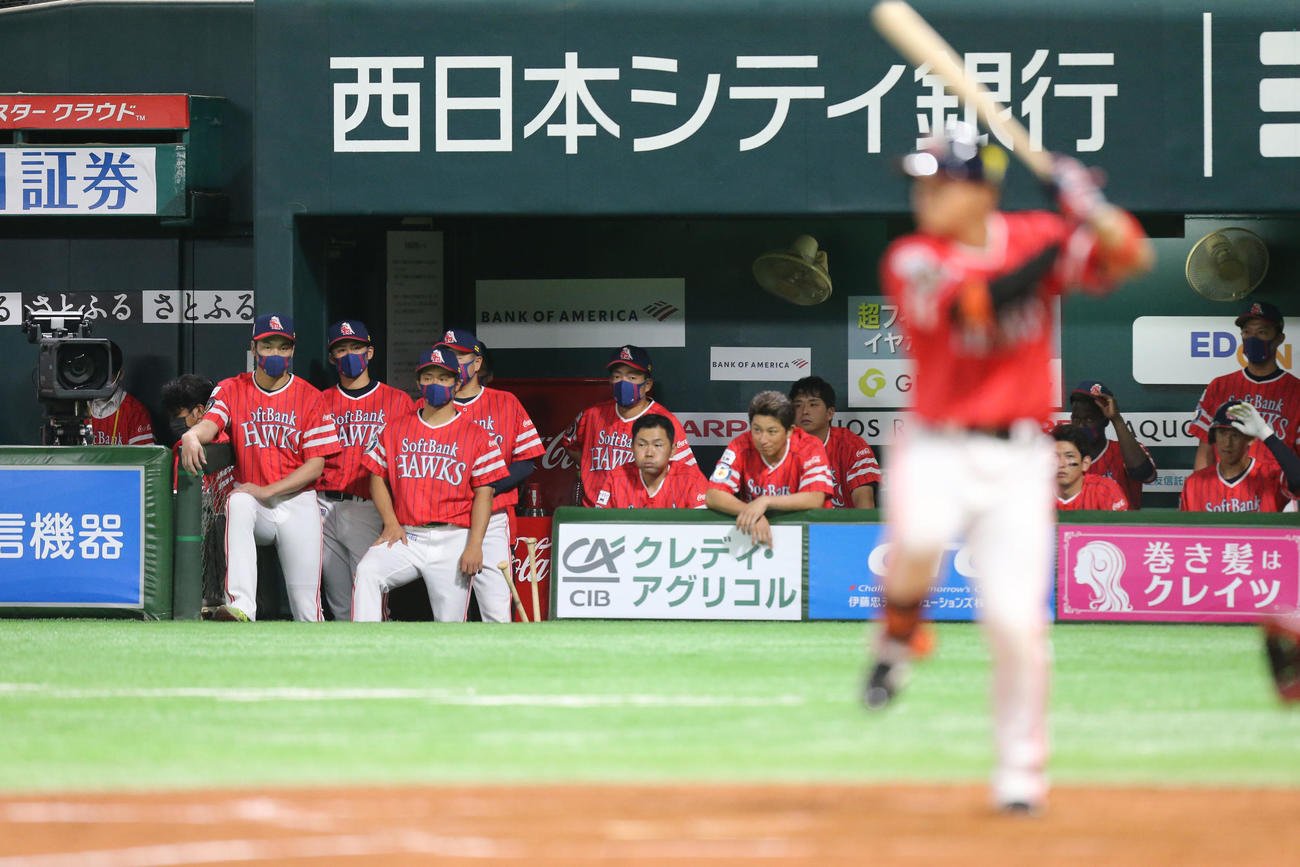 ソフトバンク対オリックス　9回裏、試合を見つめるソフトバンクナイン（撮影・屋方直哉）