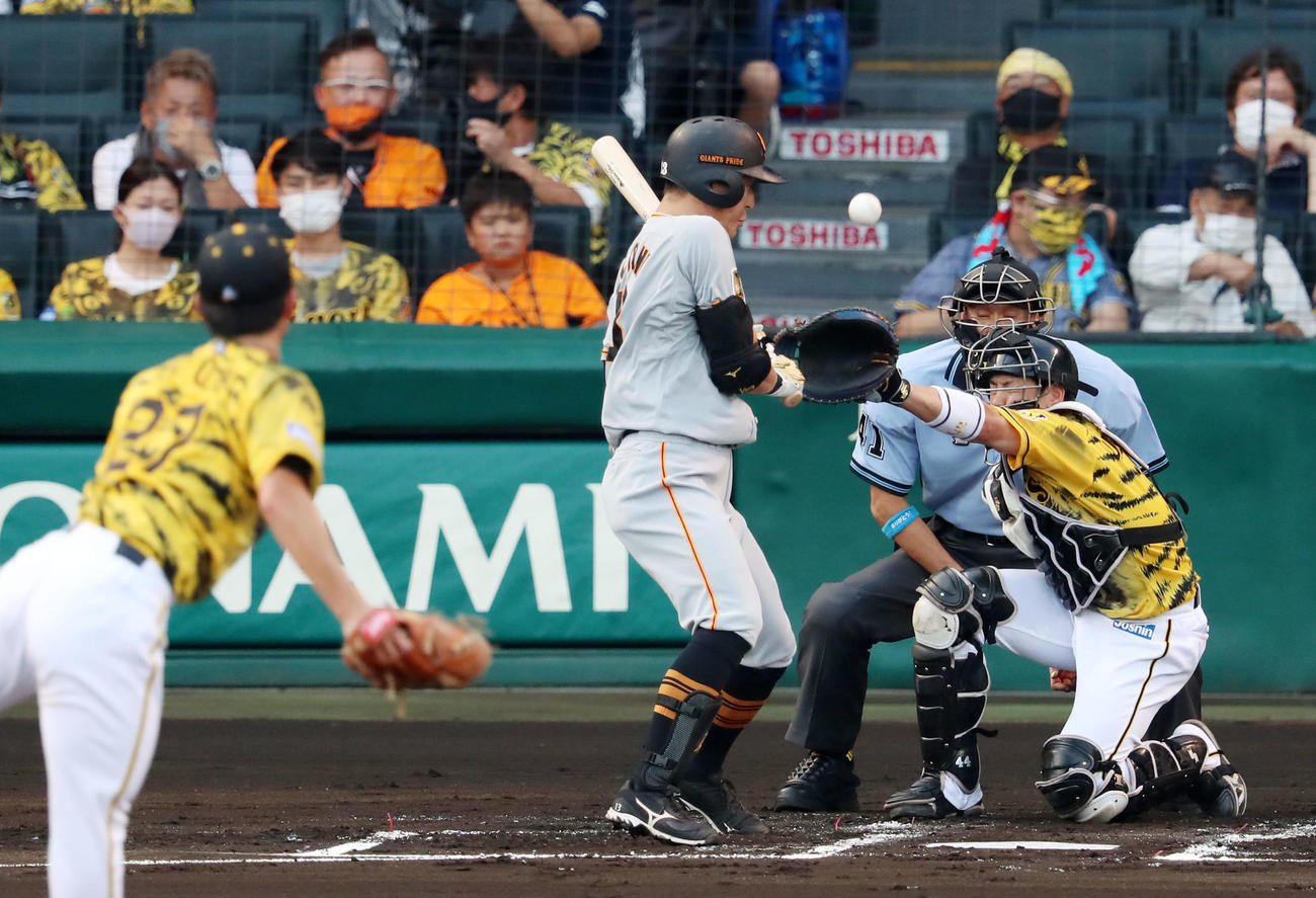 阪神対巨人　1回表巨人1死満塁、梶谷は死球を受け押し出しとなる。投手は伊藤将（撮影・加藤哉）