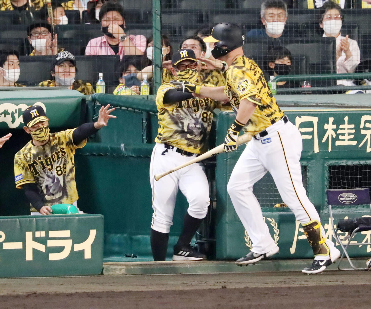阪神対巨人　6回裏阪神2死、左越え本塁打を放ったサンズ（右）をベンチで迎える矢野監督（撮影・加藤哉）