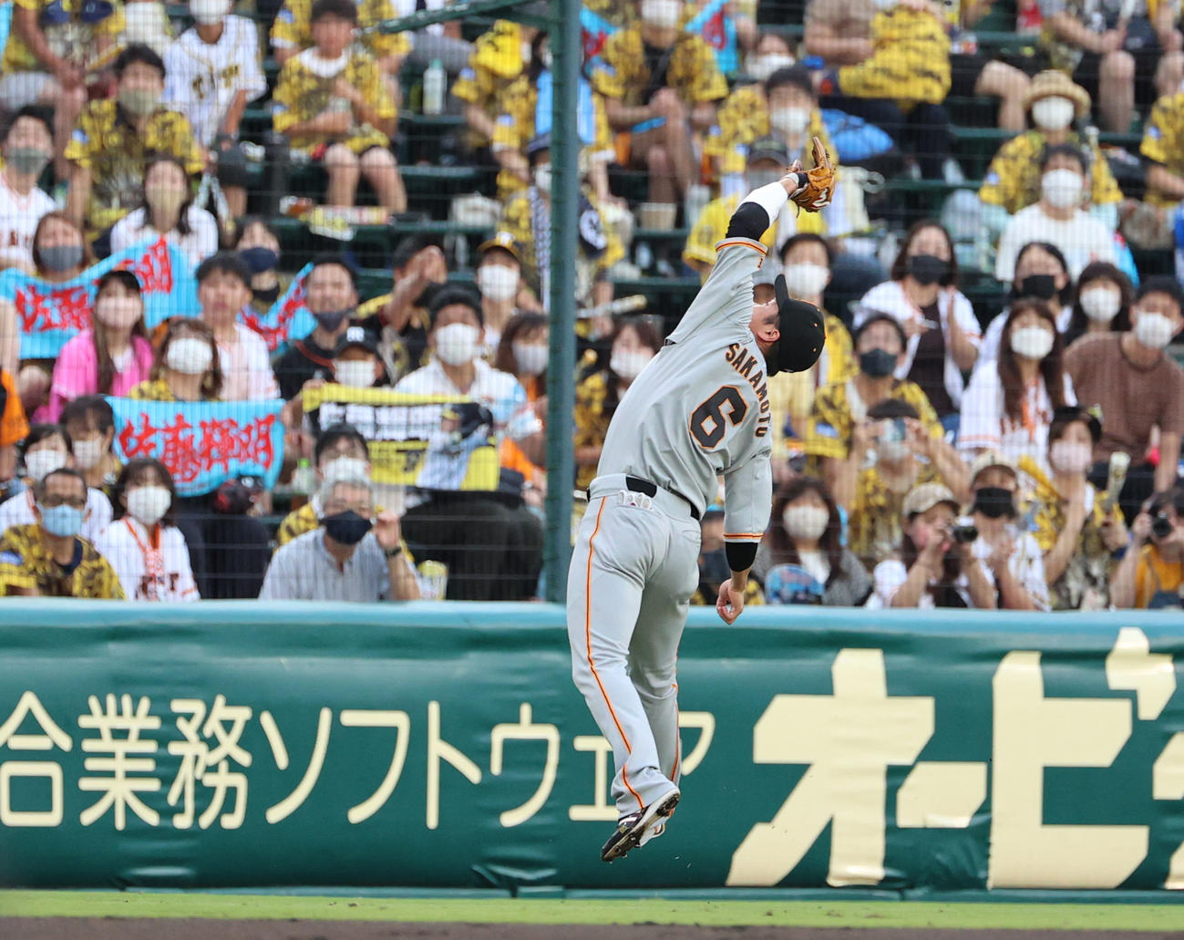 阪神対巨人　2回裏阪神1死、佐藤輝の飛球を捕る遊撃手坂本（撮影・清水貴仁）