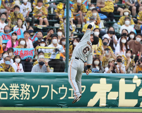 阪神対巨人　2回裏阪神1死、佐藤輝の飛球を捕る遊撃手坂本（撮影・清水貴仁）