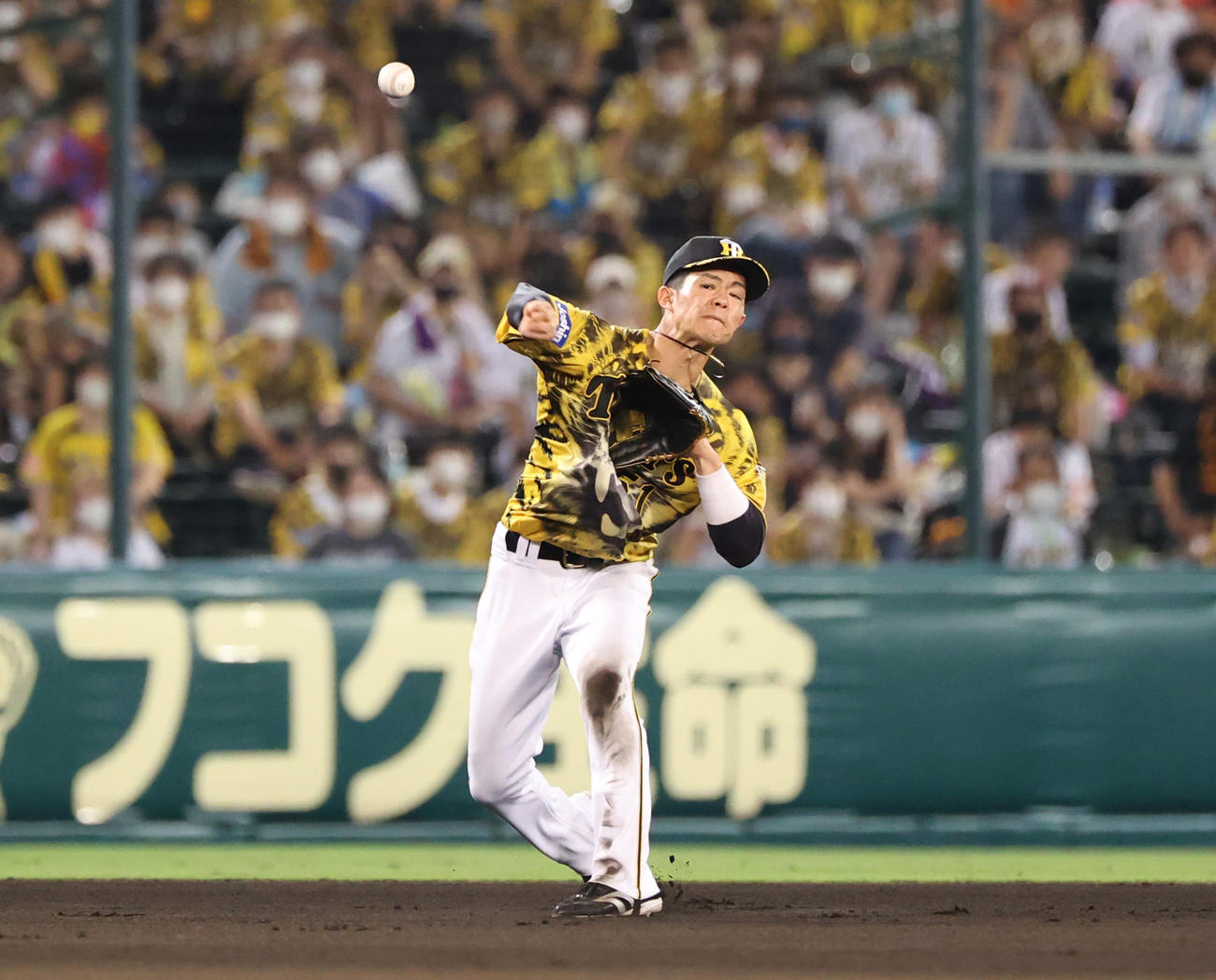 阪神対巨人　7回表巨人1死、岡本和の打球を処理する遊撃手中野（撮影・清水貴仁）